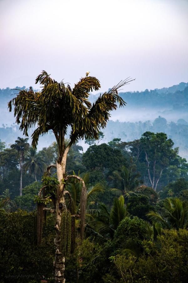 Raveendra Inn Kalpetta Esterno foto